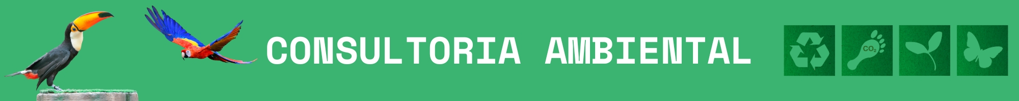 Consultoria Ambiental